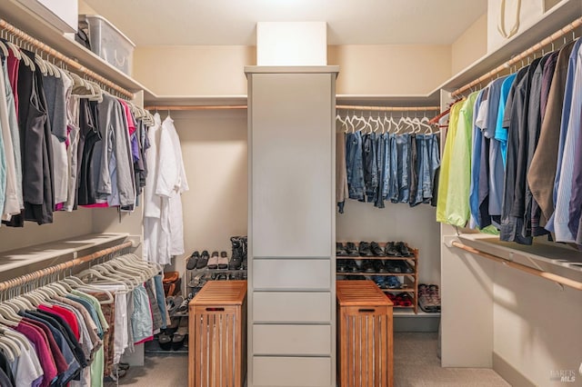 spacious closet with carpet
