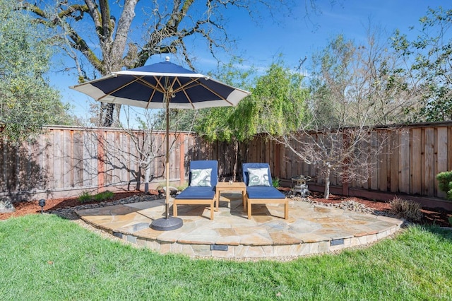 view of yard featuring a patio area and a fenced backyard