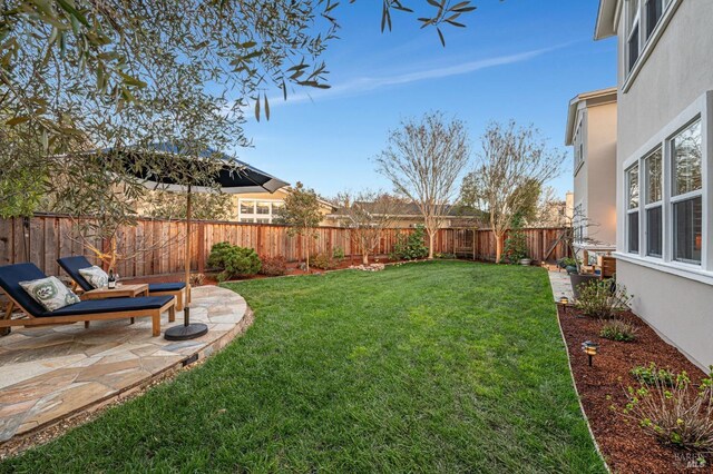 view of yard with a patio and a fenced backyard