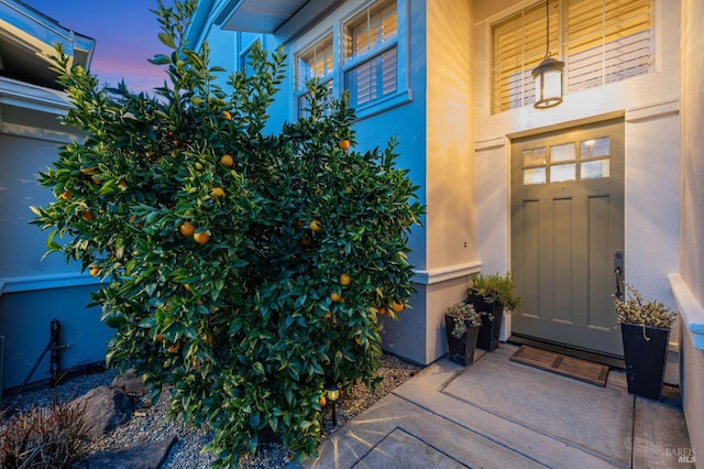 property entrance featuring board and batten siding