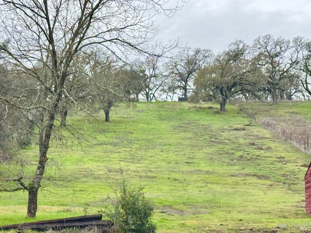 2131 1st Ave, Napa, CA 94558 - view of yard