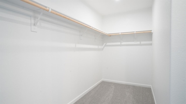 walk in closet with carpet flooring