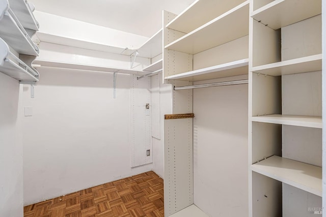 view of walk in closet