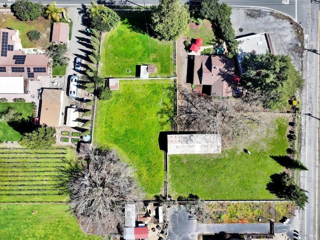bird's eye view
