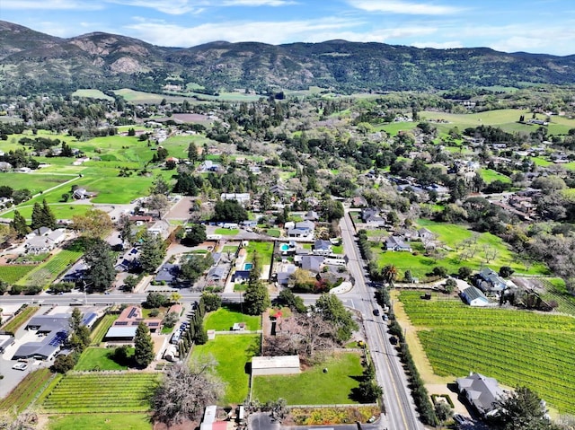 drone / aerial view with a mountain view