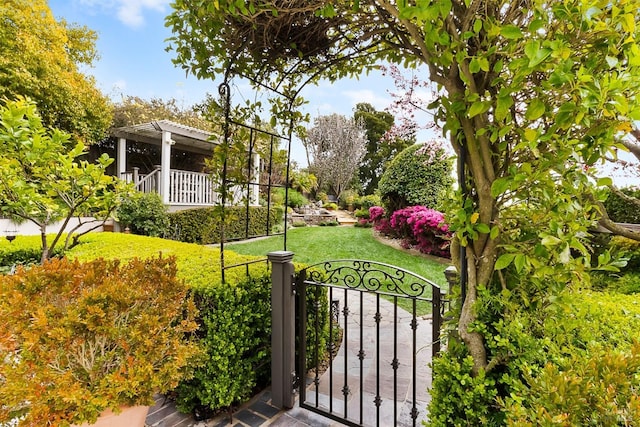 view of yard featuring a gate and a pergola