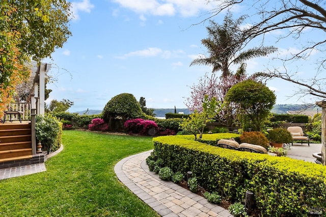view of yard with a deck