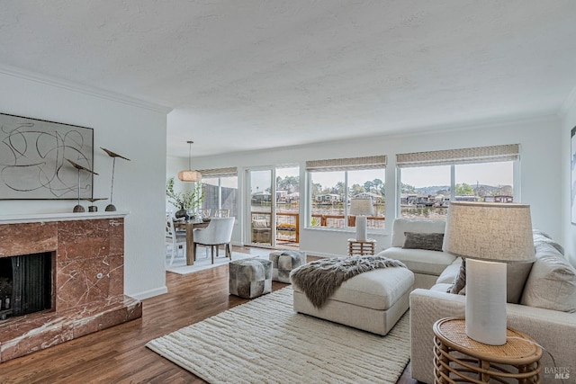 835 S Eliseo Dr, Greenbrae, CA 94904 - living room featuring crown molding, wood finished floors, a tile fireplace, and a textured ceiling