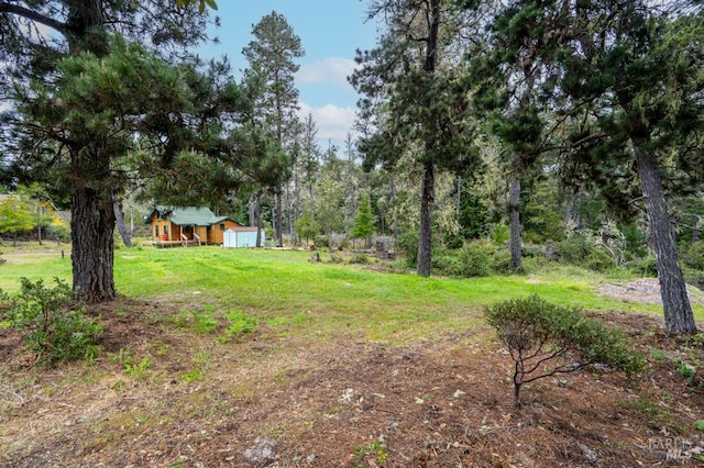 27821 Ten Mile Rd, Point Arena, CA 95468 - view of yard with an outdoor structure and a storage unit