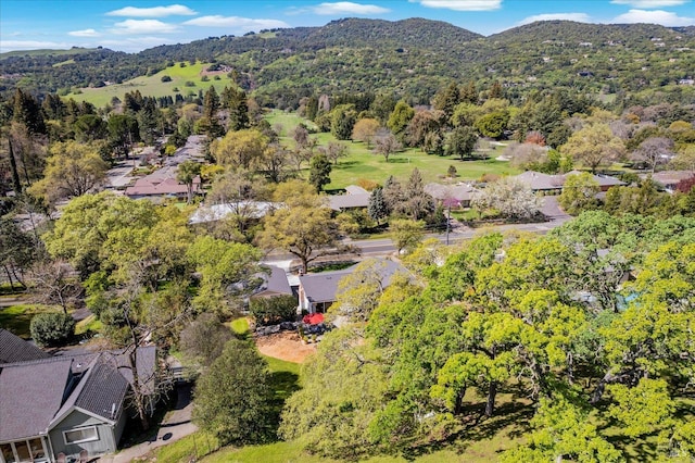 birds eye view of property featuring a mountain view
