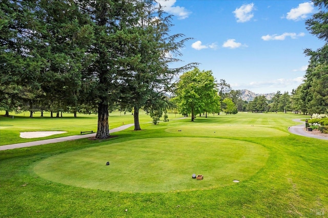 view of property's community with a lawn and view of golf course