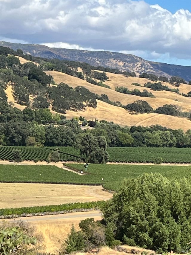 4060 Monticello Rd, Napa, CA 94558 - exterior space with a rural view
