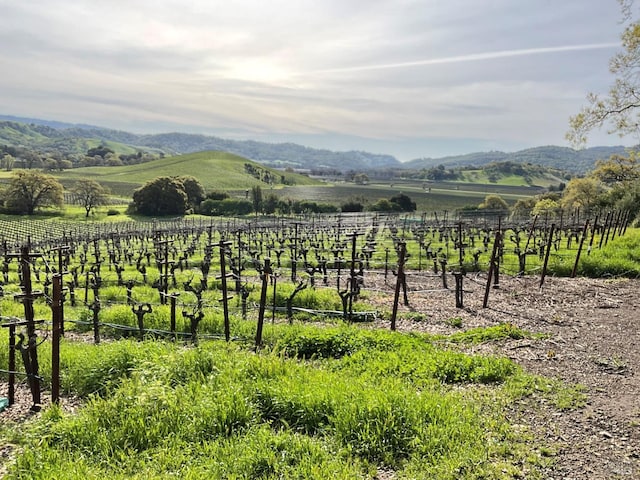 4060 Monticello Rd, Napa, CA 94558 - mountain view featuring a rural view