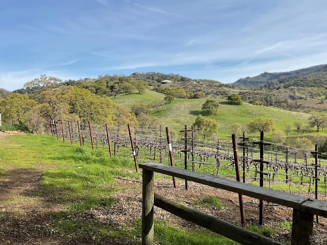 4060 Monticello Rd, Napa, CA 94558 - view of yard featuring a mountain view, a rural view, and fence