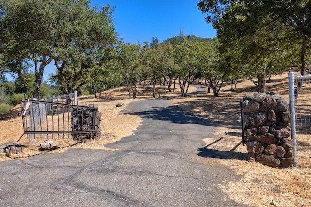 view of street with driveway and a gated entry