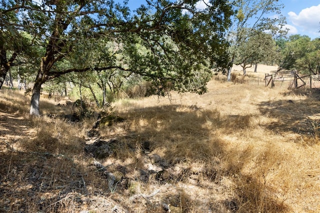 view of landscape