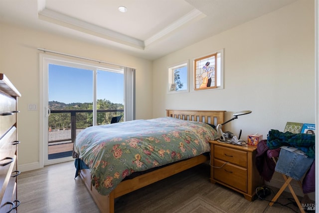 bedroom featuring wood finished floors, a raised ceiling, baseboards, and access to outside