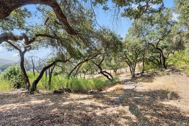 view of nature
