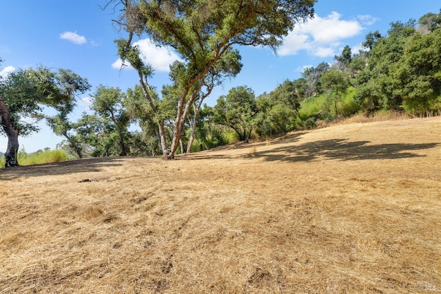 view of local wilderness