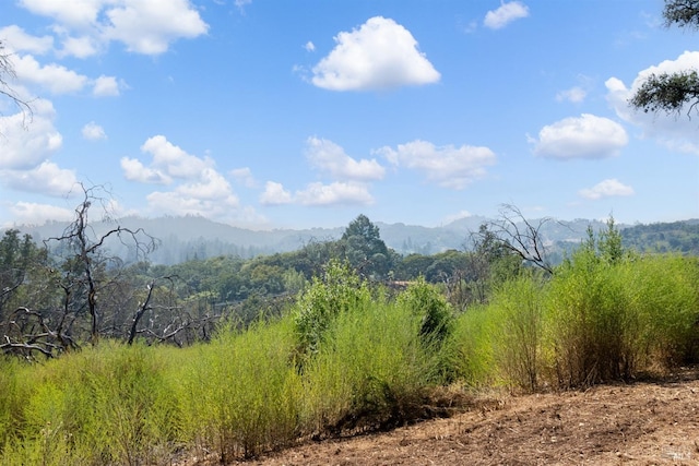 mountain view featuring a view of trees