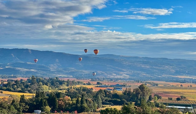 4127 Dry Creek Rd, Napa, CA 94558 - mountain view