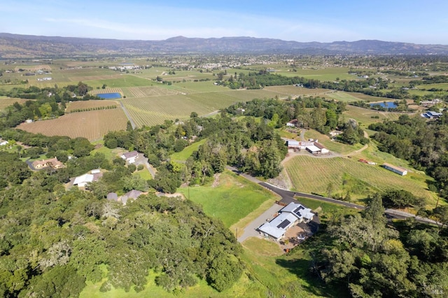 drone / aerial view with a mountain view and a rural view