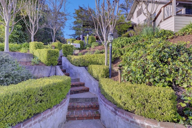 view of yard with stairs