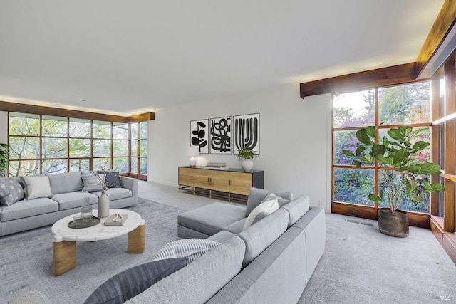 living area featuring carpet flooring, visible vents, and expansive windows