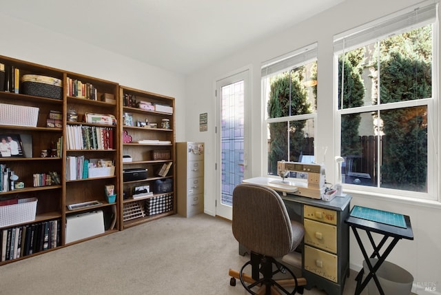 home office with light colored carpet