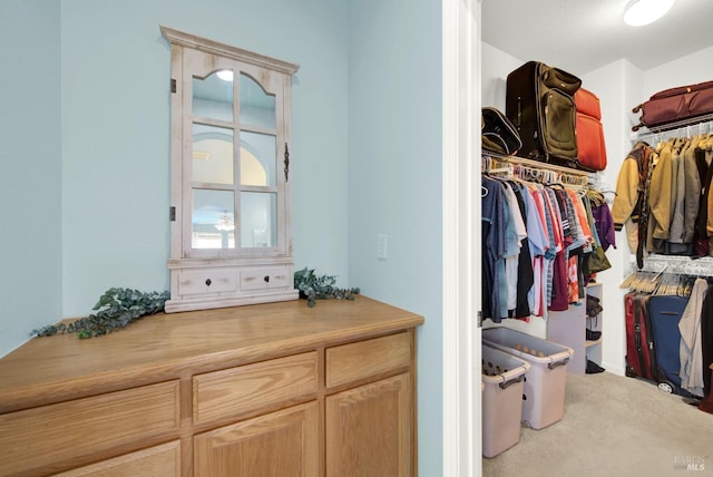 walk in closet with carpet