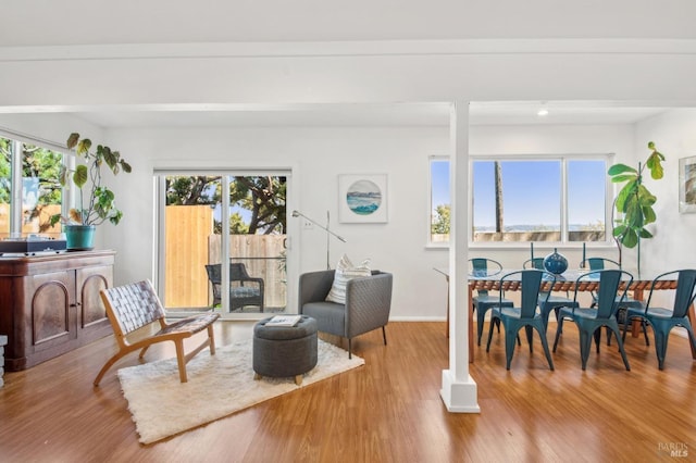 interior space featuring plenty of natural light and wood finished floors