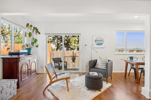 living area with baseboards and wood finished floors