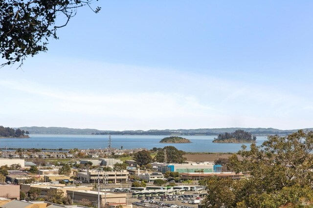property view of water