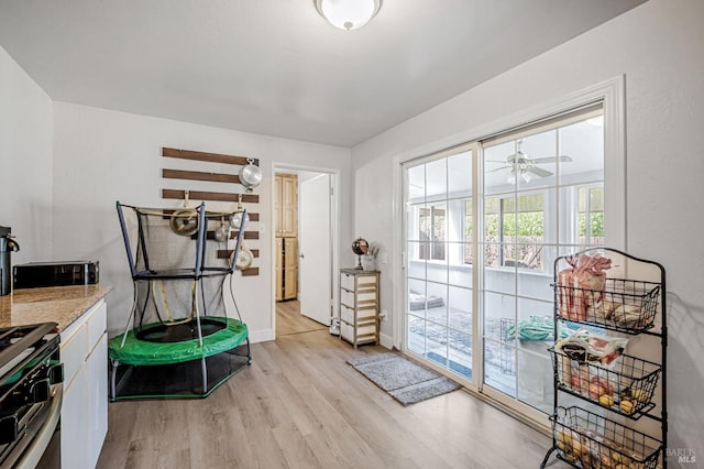 interior space featuring baseboards, ceiling fan, and light wood finished floors
