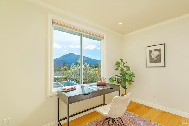 home office featuring ornamental molding, wood finished floors, a mountain view, and baseboards