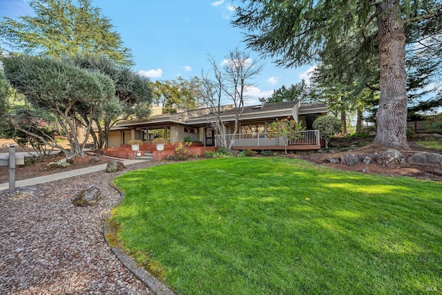 rear view of house with a lawn and stucco siding