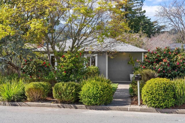 obstructed view of property featuring stucco siding
