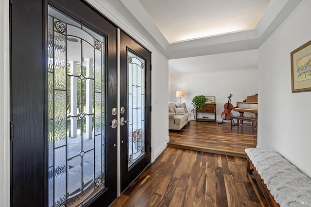 foyer featuring a raised ceiling and dark wood-type flooring