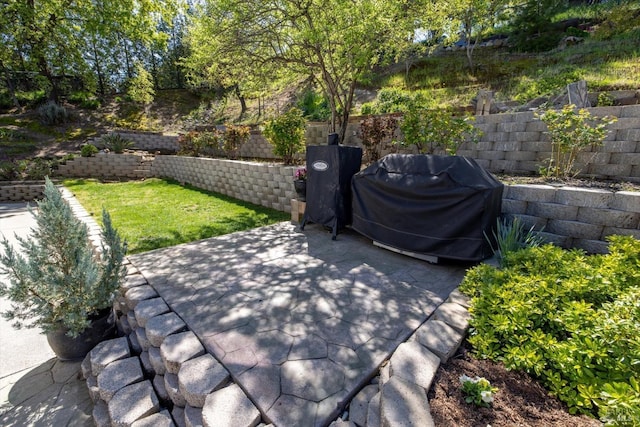 view of patio / terrace featuring area for grilling and a fenced backyard