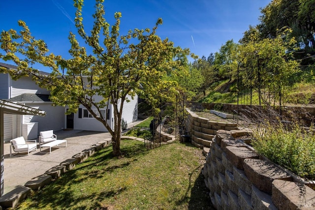 view of yard with a patio area