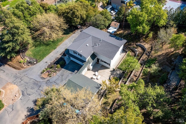 bird's eye view