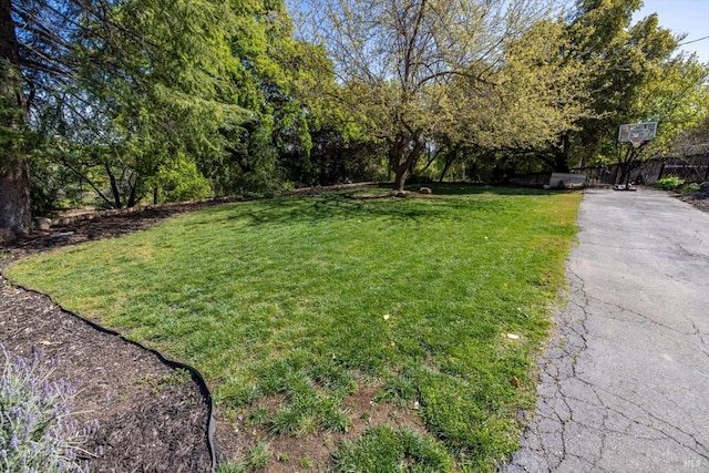 view of yard