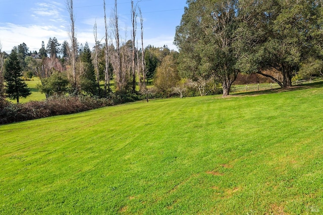 view of yard