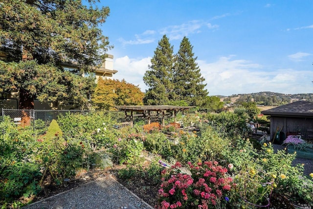 view of yard with fence and a vegetable garden
