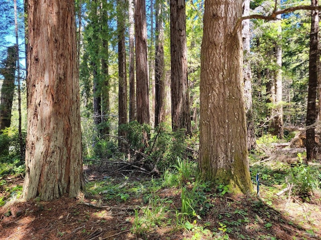 315 Chinquapin Ln, The Sea Ranch, CA 95497