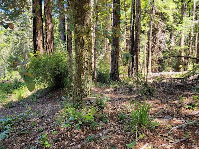 315 Chinquapin Ln, The Sea Ranch, CA 95497