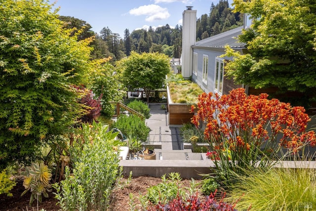 35 Bernard St, Mill Valley, CA 94941 - view of yard