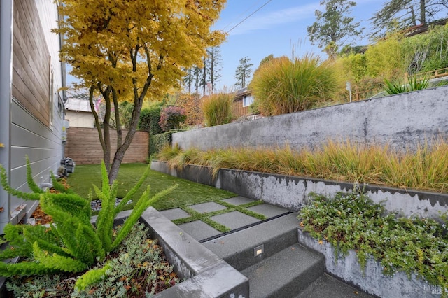 35 Bernard St, Mill Valley, CA 94941 - view of yard