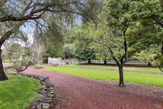 view of property's community featuring a lawn and fence