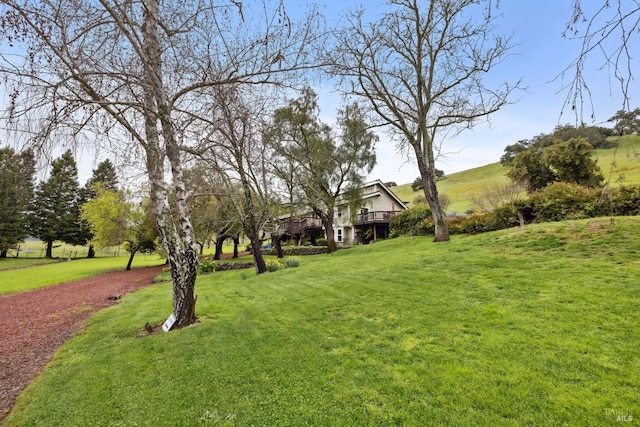 view of yard featuring a deck
